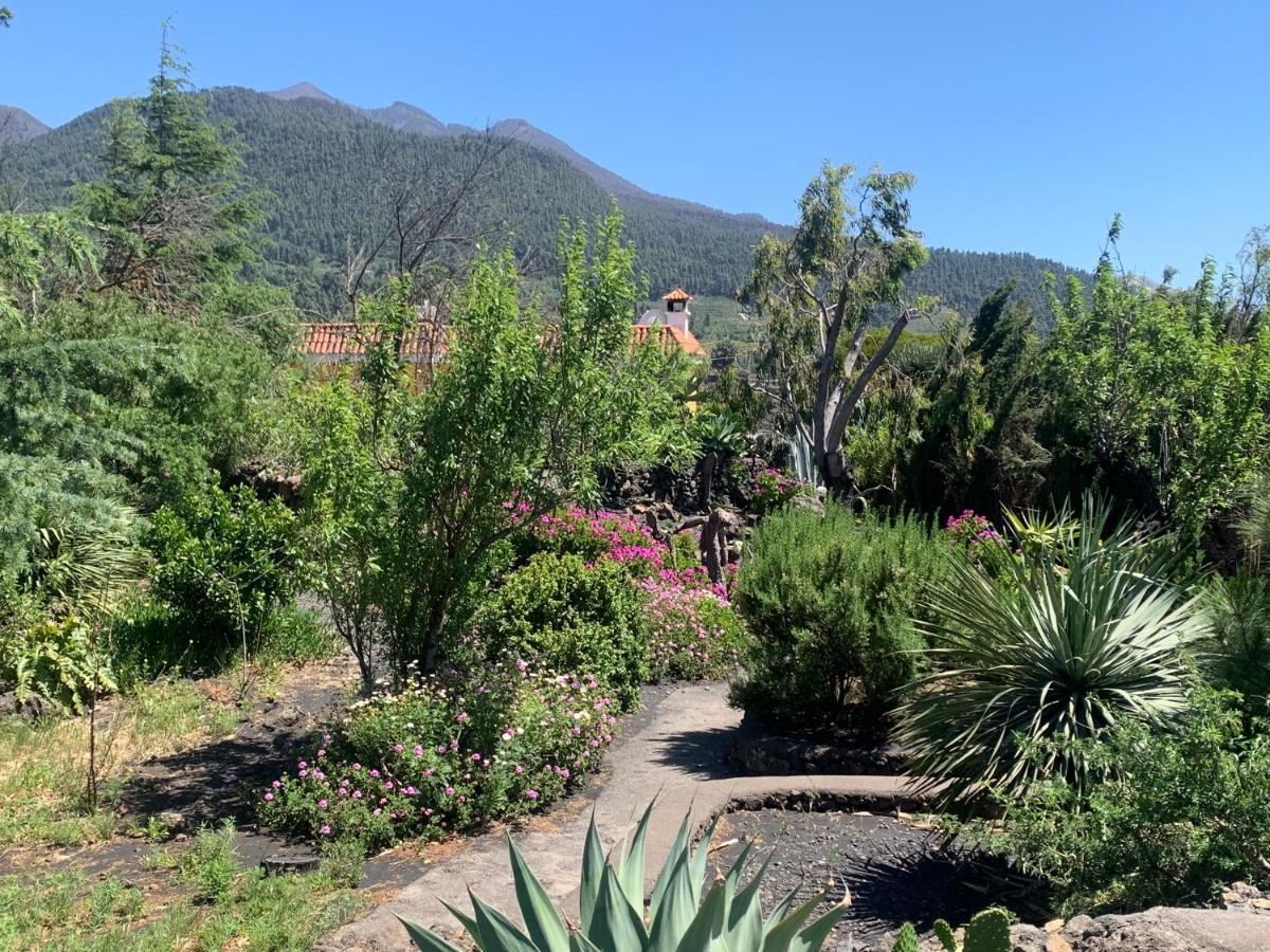 Casa Piedras Blancas With Private Garden Villa El Paso Luaran gambar